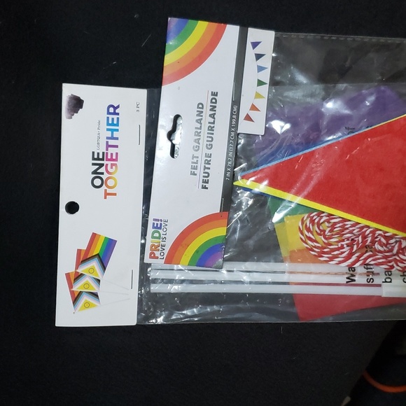 Pride Bundle Flags and Felt Banner - Picture 1 of 3